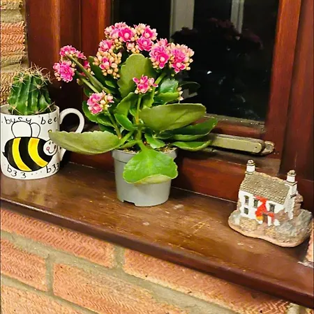 Mia Property 2 Bristol