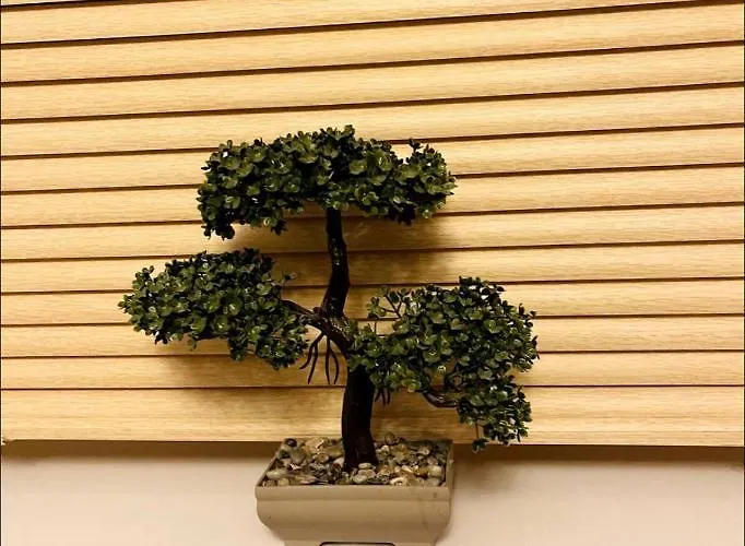 Mia Property 2 * 布里斯托