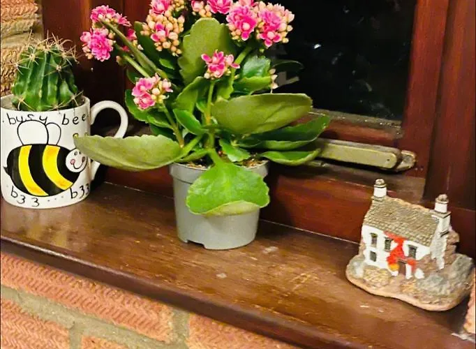 Mia Property 2 Bristol