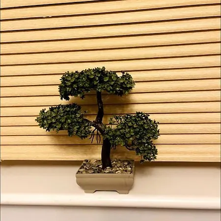 Mia Property 2 * Bristol